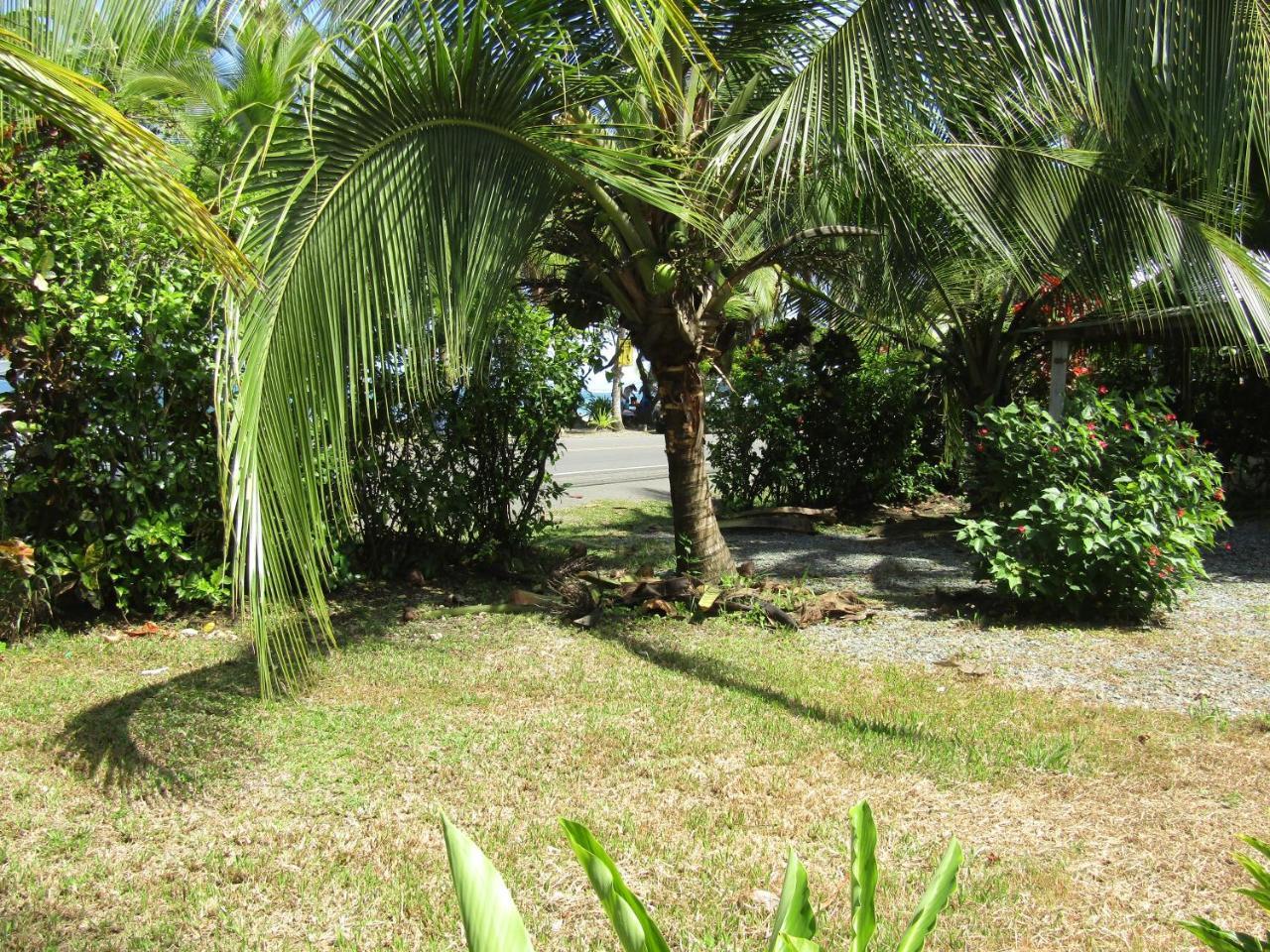 Pineapple House Manzanillo Villa Exterior photo