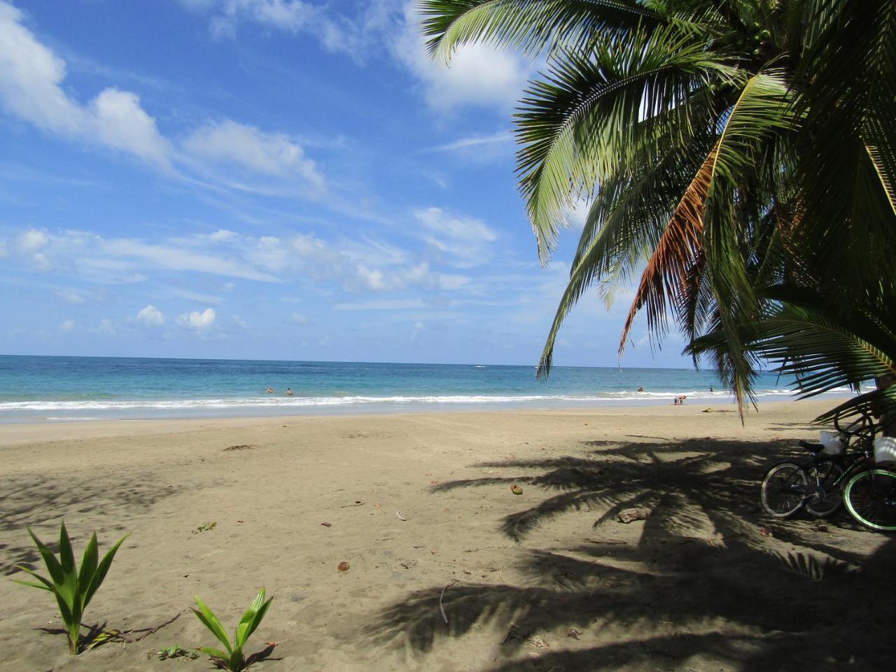 Pineapple House Manzanillo Villa Exterior photo